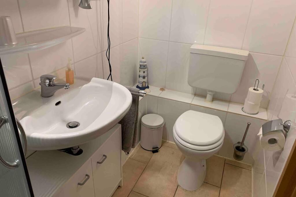Rosengarten  Ferienwohnung Schmidt מראה חיצוני תמונה