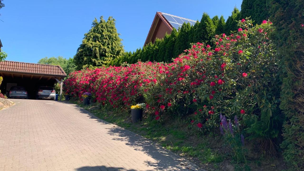 Rosengarten  Ferienwohnung Schmidt מראה חיצוני תמונה